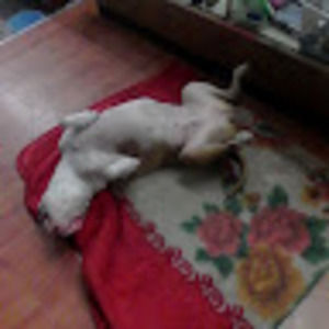 Meet your Posher, Robert